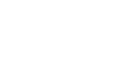 Virtue Logo